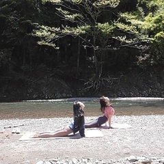 ヨガ🧘‍♀️マンツーマンでレッスンしますの画像