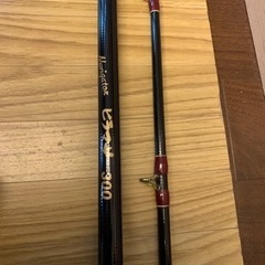 🉐海釣り竿