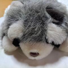 ティッシュカバー　アライグマの画像