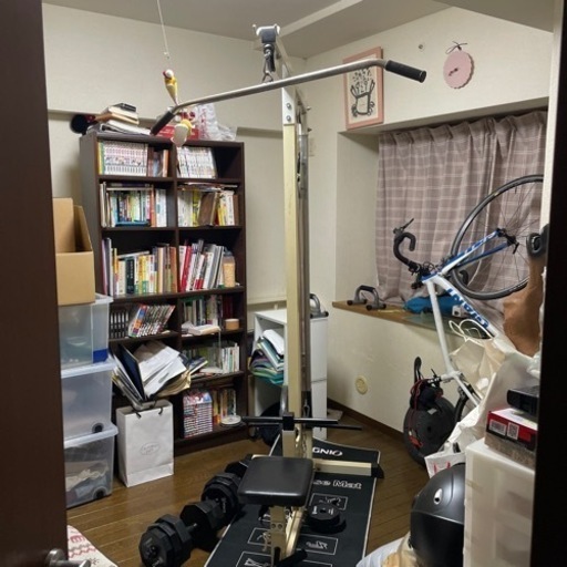 WILD FITラットプルマシン