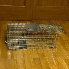 小動物捕獲器お貸しします