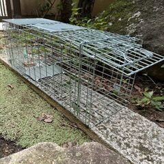 猫など小動物捕獲器お貸しします - 岡山市
