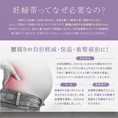 ☆犬印本舗 サポートアップ妊婦帯 L Lピンク ナイロンの画像