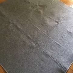 使用感あり　ホットカーペット2畳用