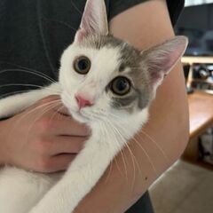 とにかく良い子💙「ルーン王子」くん♂