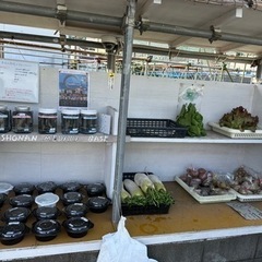 湘南めだか　メダカ無人販売所　9/24  16時までの画像