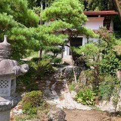 売りますの画像