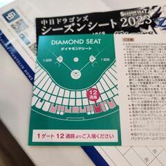 ドラゴンズチケットの画像