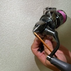 22STELLA 2500SHGの画像