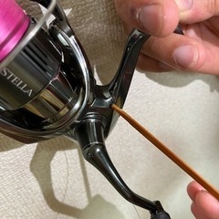 22STELLA 2500SHGの画像