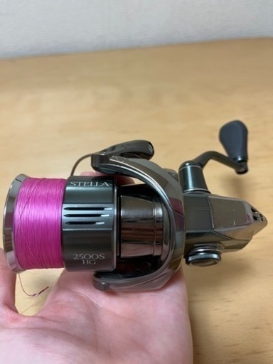 22STELLA 2500SHG