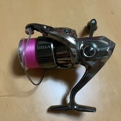 22STELLA 2500SHG