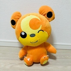 値下げ中！ヒメグマの画像