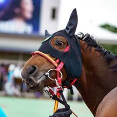 ウマ好きさん集まれ🐎競馬友達募集🌟