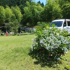 岐阜県関市上之保　鮎釣り 沢水 おとり 山菜 筍 山登り 川遊び カヤック キャンプ 趣味 アウトドア 友釣り　個人売買 - 関市
