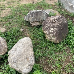 ロックガーデン　庭石　ガーデニングの画像
