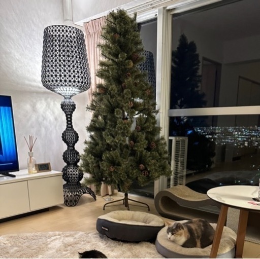 180センチ　クリスマスツリー