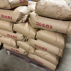 令和5年千葉県産コシヒカリ玄米30キロ