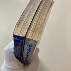 ギャラリーフェィクthe best 30巻　全2冊セットの画像