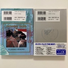 ギャラリーフェィクthe best 30巻　全2冊セットの画像