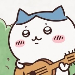 白✖️グレー　グレーハチワレ