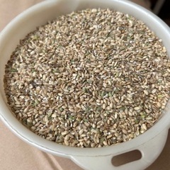 新鮮　新米　くず米　無農薬