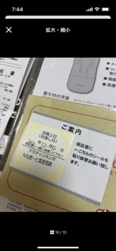 2022 保証書付きピジョン　ランフィリノン
