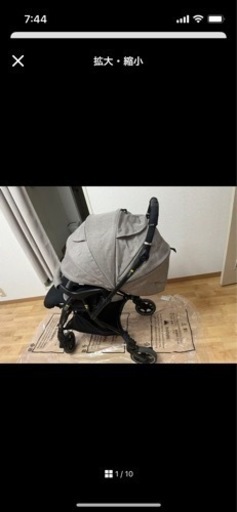 2022 保証書付きピジョン　ランフィリノン