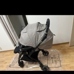 2022 保証書付きピジョン ランフィリノン