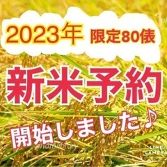 完売★金賞受賞★ 令和5度年新米　60kg    ＼＼ 減農薬／／