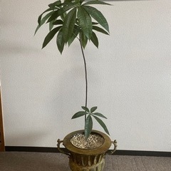 パキラ　フェイク　観葉植物