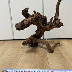 流木② 45㎝、90㎝水槽用