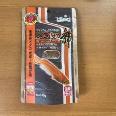 楊貴妃メダカ　幼魚10匹②の画像
