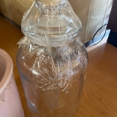 大きめ容器の画像