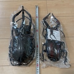 ノコギリクワガタ&コーカサスオオカブト?