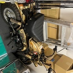 モンキー限定車