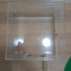 爬虫類ケージ①の画像