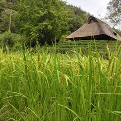 しがらきの里 農業塾第6回 　秀明自然農法の土・作物に触れて、感...