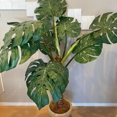 人工観葉植物　モンステラ　1.5m
