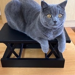値下げ！ピアノの足台  小さい子供さん用