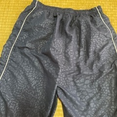 男性用水着ズボン　Lの画像