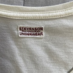 STEVENSONスティーブソン　白TシャツVネック無地　サイズM〜Lの画像