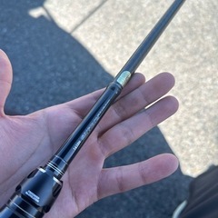 ポイズングロリアス 1610Hの画像