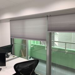 TUISS DÉCORロールスクリーン　グレーの画像