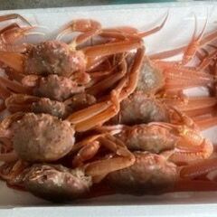 噴火湾産　活ズワイガニ8～12杯の画像