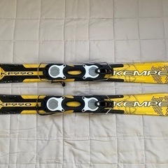 ファンスキーの画像