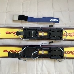 ファンスキーの画像