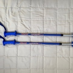 ファンスキーの画像