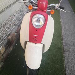 【値下げ】ホンダ スクーピー 