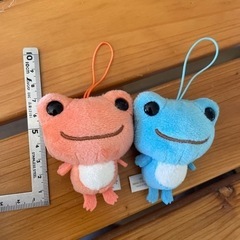 カエル　ピクルスの画像